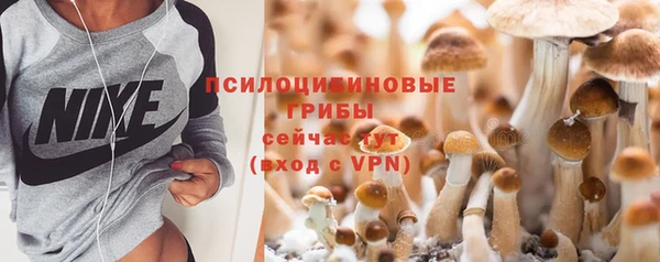 СК Алзамай